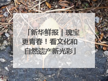 新华鲜报｜瑰宝更青春！看文化和自然遗产新光彩