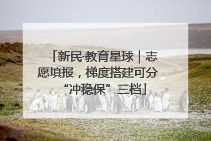 新民·教育星球｜志愿填报，梯度搭建可分“冲稳保”三档