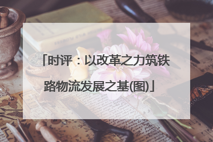 时评：以改革之力筑铁路物流发展之基(图)