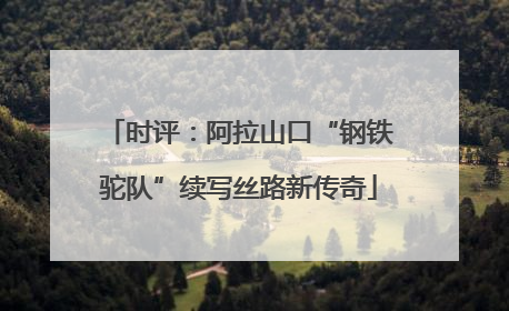 时评：阿拉山口“钢铁驼队”续写丝路新传奇