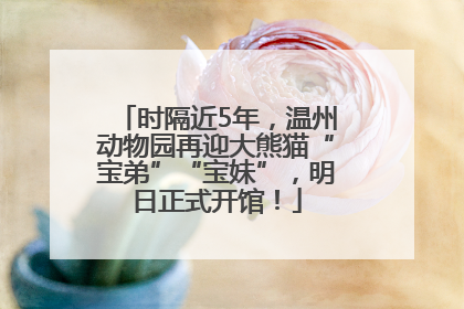 时隔近5年，温州动物园再迎大熊猫“宝弟”“宝妹”，明日正式开馆！