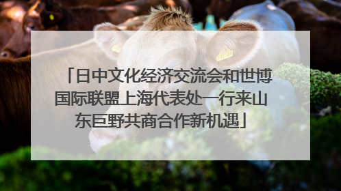 日中文化经济交流会和世博国际联盟上海代表处一行来山东巨野共商合作新机遇