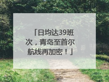 日均达39班次，青岛至首尔航线再加密！