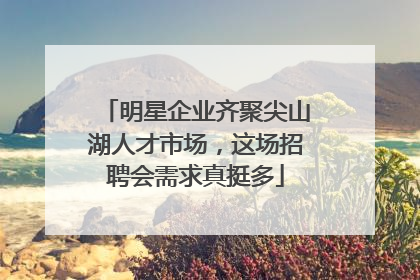 明星企业齐聚尖山湖人才市场，这场招聘会需求真挺多