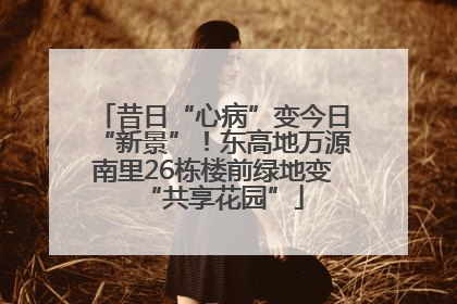昔日“心病”变今日“新景”！东高地万源南里26栋楼前绿地变“共享花园”