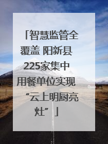 智慧监管全覆盖 阳新县225家集中用餐单位实现“云上明厨亮灶”