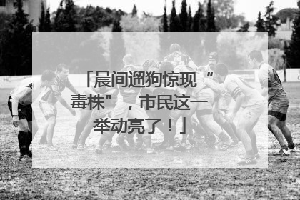 晨间遛狗惊现“毒株”，市民这一举动亮了！