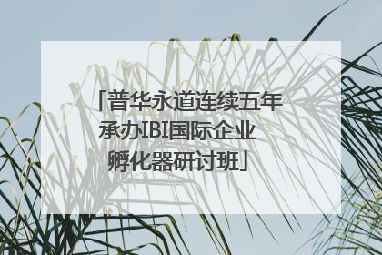 普华永道连续五年承办IBI国际企业孵化器研讨班