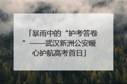 暴雨中的“护考答卷”——武汉新洲公安暖心护航高考首日