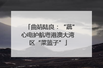 曲靖陆良：“蔬”心电护航粤港澳大湾区“菜篮子”