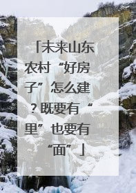未来山东农村“好房子”怎么建？既要有“里”也要有“面”