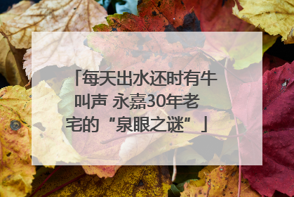 每天出水还时有牛叫声 永嘉30年老宅的“泉眼之谜”