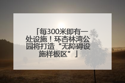 每300米即有一处设施！环杏林湾公园将打造“无障碍设施样板区”
