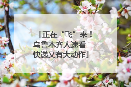 正在“飞”来！乌鲁木齐人速看 快递又有大动作