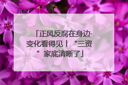 正风反腐在身边·变化看得见丨“三资”家底清晰了