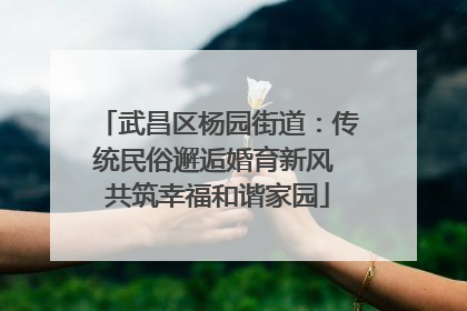 武昌区杨园街道：传统民俗邂逅婚育新风 共筑幸福和谐家园