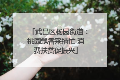 武昌区杨园街道：桃园飘香采摘忙 消费扶贫促振兴