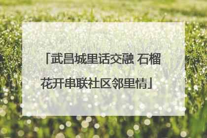 武昌城里话交融 石榴花开串联社区邻里情