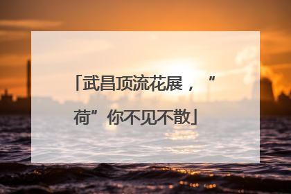 武昌顶流花展，“荷”你不见不散