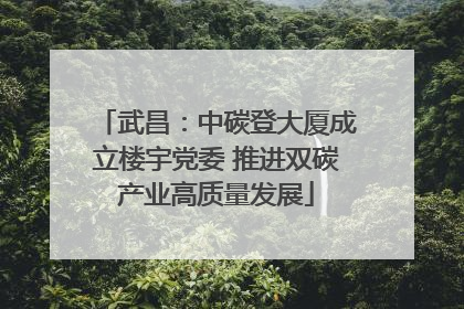 武昌：中碳登大厦成立楼宇党委 推进双碳产业高质量发展