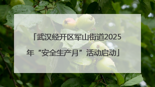 武汉经开区军山街道2025年“安全生产月”活动启动