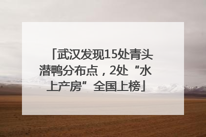 武汉发现15处青头潜鸭分布点，2处“水上产房”全国上榜