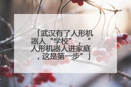 武汉有了人形机器人“学校”，“人形机器人进家庭，这是第一步”