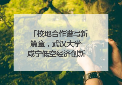 校地合作谱写新篇章，武汉大学·咸宁低空经济创新研究院签约成立