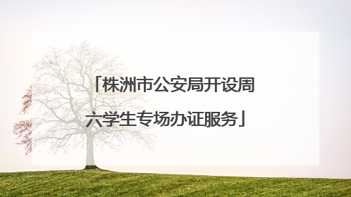 株洲市公安局开设周六学生专场办证服务