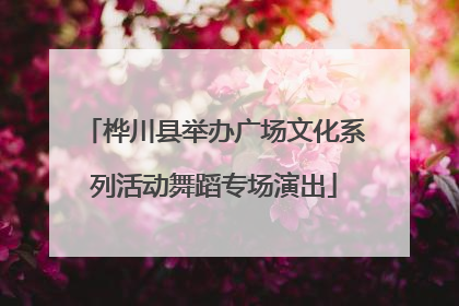 桦川县举办广场文化系列活动舞蹈专场演出