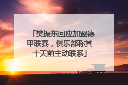 樊振东回应加盟德甲联赛，俱乐部称其十天前主动联系