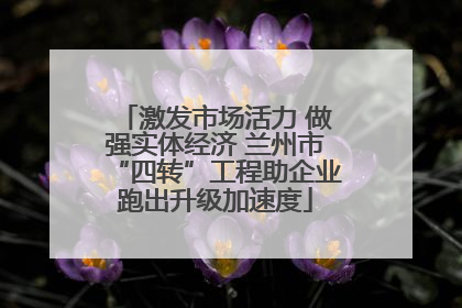 激发市场活力 做强实体经济 兰州市“四转”工程助企业跑出升级加速度