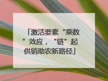 激活要素“乘数”效应，“链”起供销助农新路径