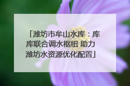 潍坊市牟山水库：库库联合调水枢纽 助力潍坊水资源优化配置