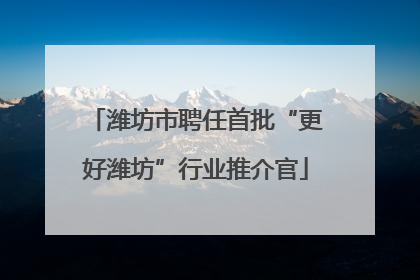 潍坊市聘任首批“更好潍坊”行业推介官