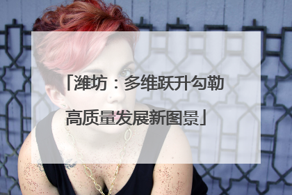 潍坊：多维跃升勾勒高质量发展新图景