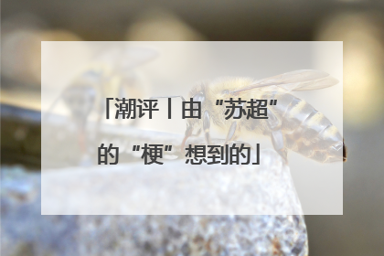 潮评丨由“苏超”的“梗”想到的
