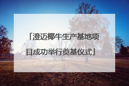 澄迈椰牛生产基地项目成功举行奠基仪式