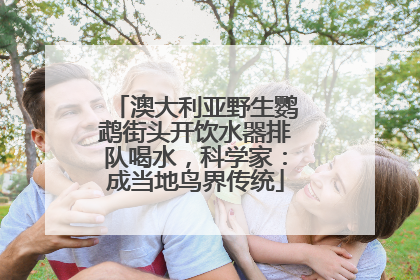 澳大利亚野生鹦鹉街头开饮水器排队喝水，科学家：成当地鸟界传统