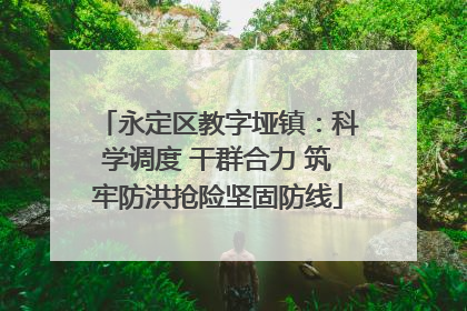 永定区教字垭镇：科学调度 干群合力 筑牢防洪抢险坚固防线