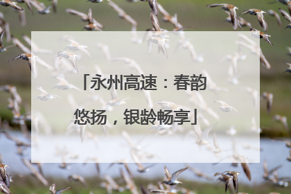 永州高速：春韵悠扬，银龄畅享