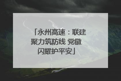 永州高速：联建聚力筑防线 党徽闪耀护平安