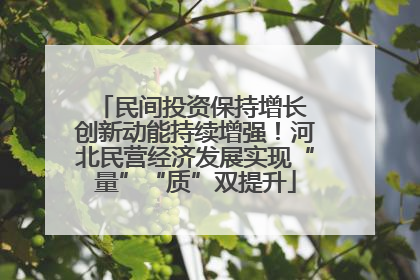 民间投资保持增长 创新动能持续增强！河北民营经济发展实现“量”“质”双提升