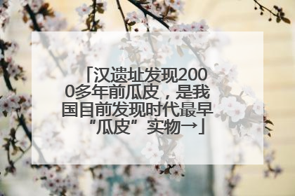 汉遗址发现2000多年前瓜皮，是我国目前发现时代最早“瓜皮”实物→