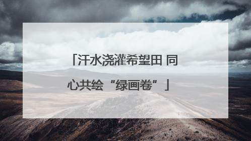 汗水浇灌希望田 同心共绘“绿画卷”