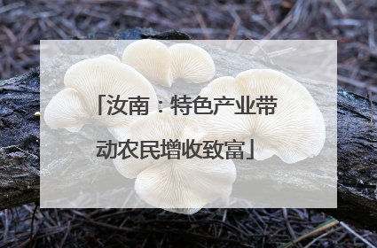 汝南：特色产业带动农民增收致富