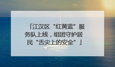 江汉区“红黄蓝”服务队上线，组团守护居民“舌尖上的安全”