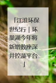 江淮环保世纪行｜环巢湖今年将新增数座深井控藻平台