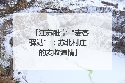 江苏睢宁“麦客驿站”：苏北村庄的麦收温情