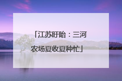 江苏盱眙：三河农场夏收夏种忙